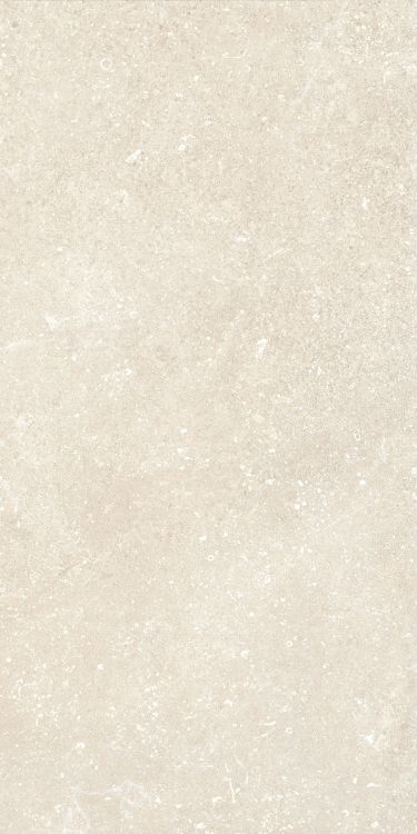 Untamed Wander Warm 12 x 24